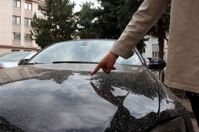 Gökten Adeta Çamur Yağdı