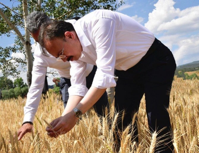 Tmo Alımları Bilecik’te Rekor Kırdı