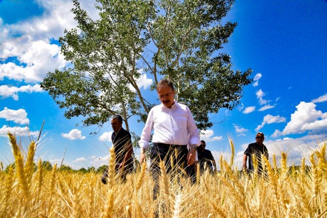 Tmo Alımları Bilecik’te Rekor Kırdı