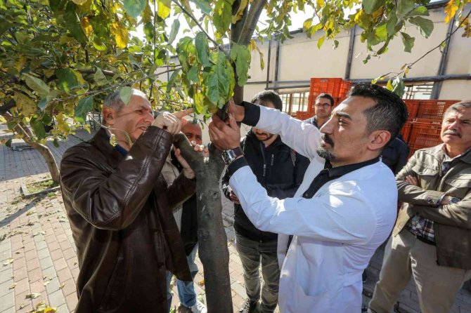 Yenimahalleli Kursiyerler Ders Başı Yaptı