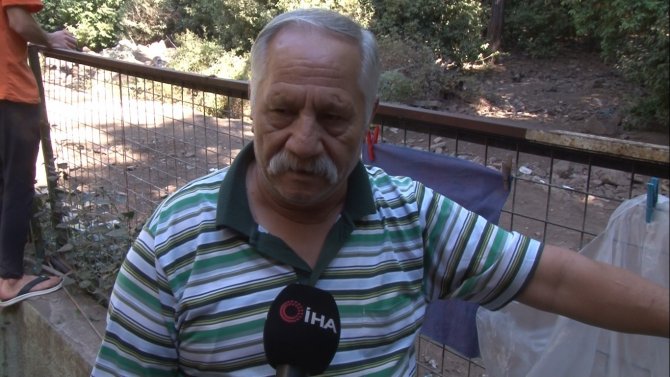 Yangından Kaçan Domuzlara Jandarma Ve Otelciler Yemek Verdi