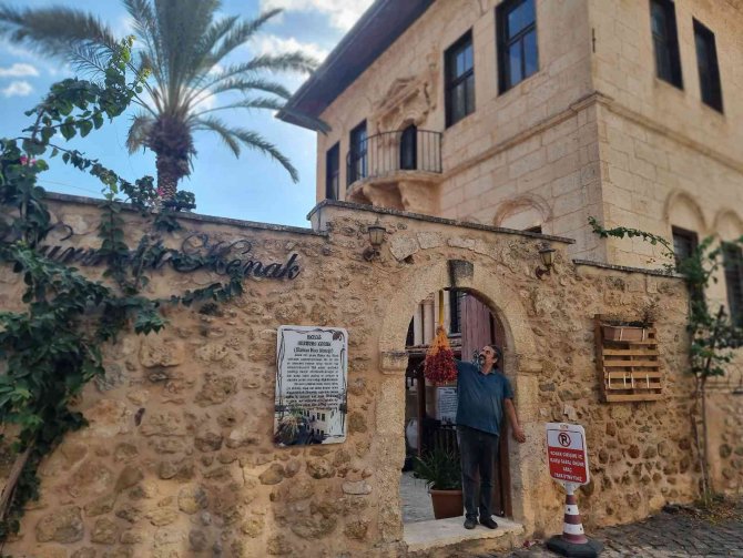 Tarihi "Hurmalı Konak"ta Hurma Hasadı