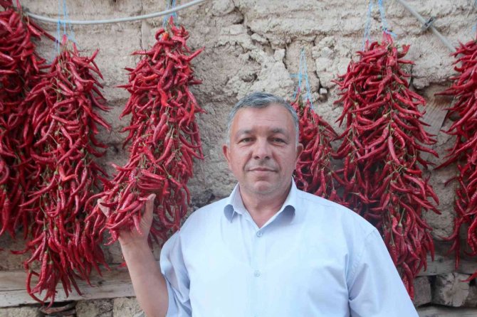 153 Yıldır Aynı Tohumdan Acı Kırmızıbiber Üretiyorlar