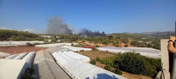 Kumluca’da Orman Yangını Çıktı