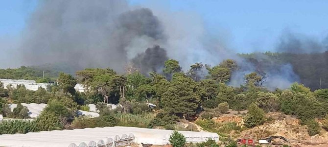 Kumluca’da Orman Yangını Çıktı