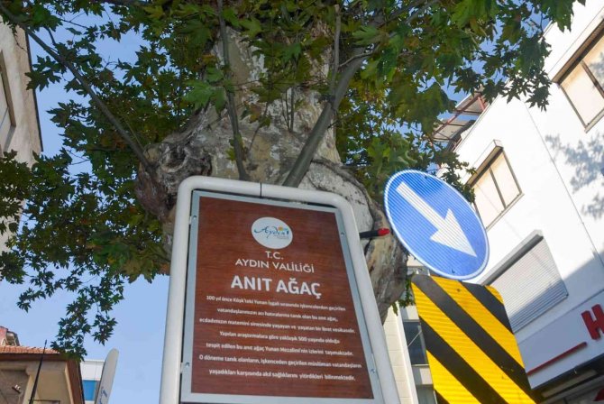 500 Yaşındaki Anıt Ağaç Kimliklendirildi