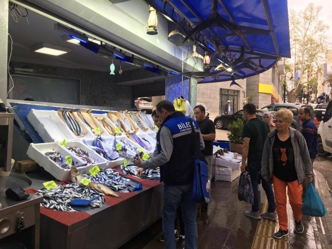 Bilecik’te Perakende Balık Satışı Yapan İş Yerleri Denetlendi
