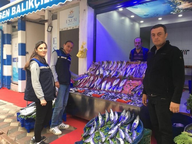 Bilecik’te Perakende Balık Satışı Yapan İş Yerleri Denetlendi