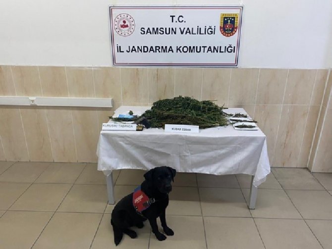 Jandarmadan 27 Olayda 29 Şüpheliye Gözaltı