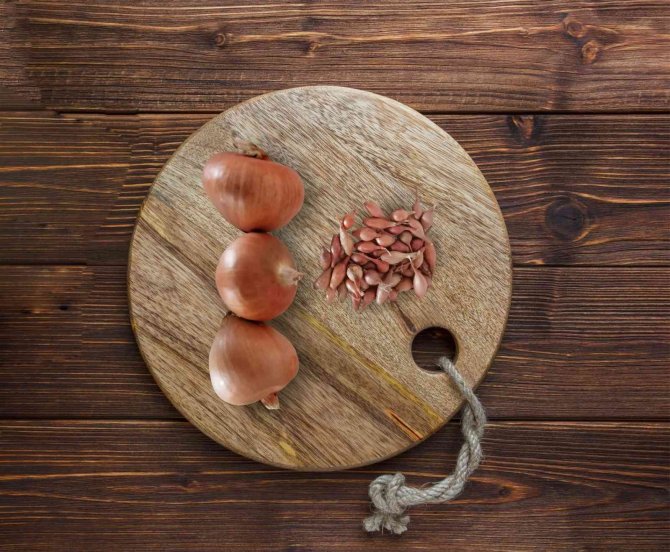 Tekirdağ Soğanı Tescillendi