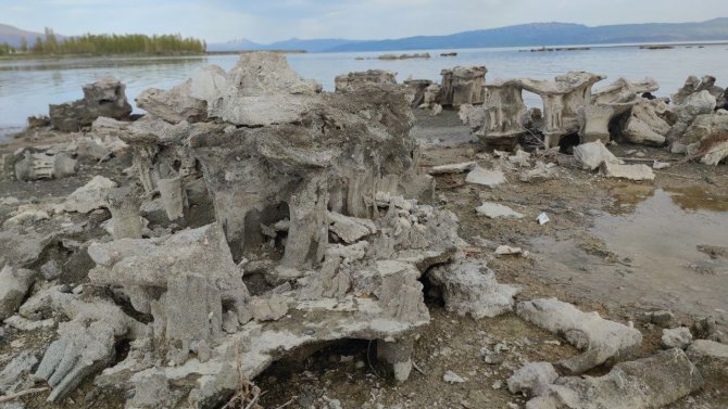 Van Gölü’nün Doğa Harikası Mikrobiyalitleri Tamamen Ortaya Çıktı