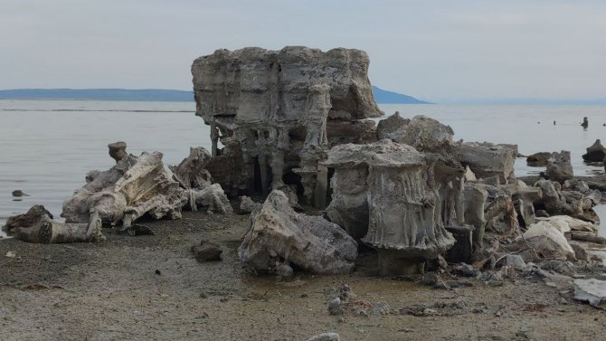 Van Gölü’nün Doğa Harikası Mikrobiyalitleri Tamamen Ortaya Çıktı