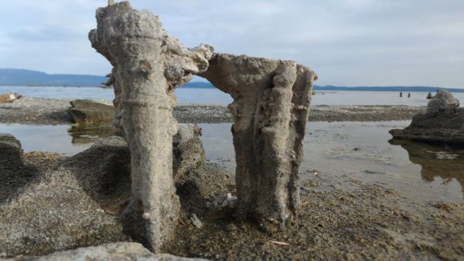 Van Gölü’nün Doğa Harikası Mikrobiyalitleri Tamamen Ortaya Çıktı