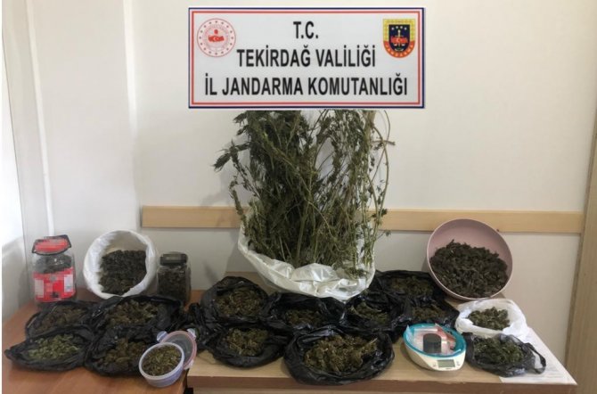 Tekirdağ’ın 5 İlçesinde Uyuşturucu Operasyonu