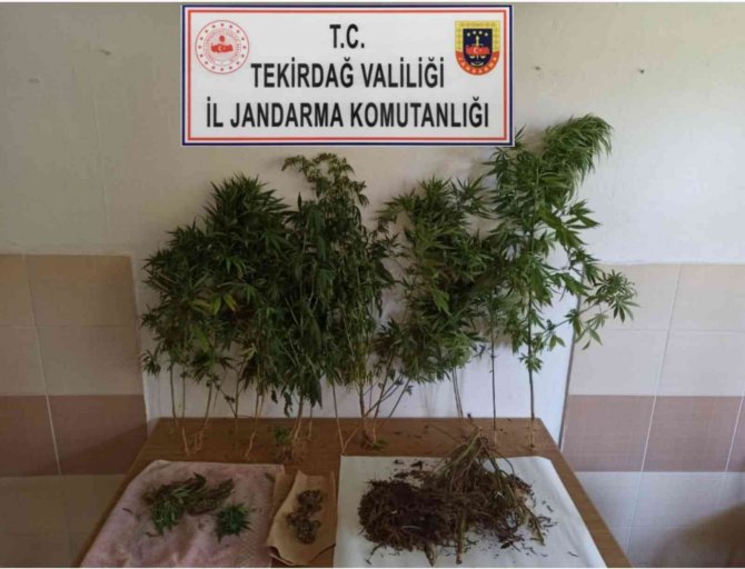 Tekirdağ’ın 5 İlçesinde Uyuşturucu Operasyonu