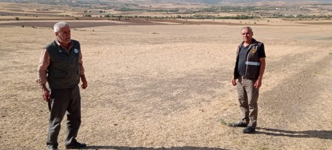 Elazığ’da Kaçak Avcı Denetiminde Bıldırcın Sesi Çıkaran Cihaz Ele Geçirildi