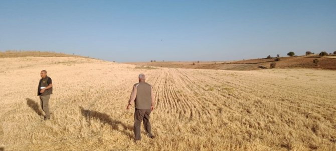 Elazığ’da Kaçak Avcı Denetiminde Bıldırcın Sesi Çıkaran Cihaz Ele Geçirildi