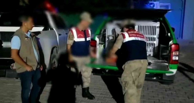 Hatay’da Böcek Toplayan Kişiye 109 Bin Lira Para Cezası