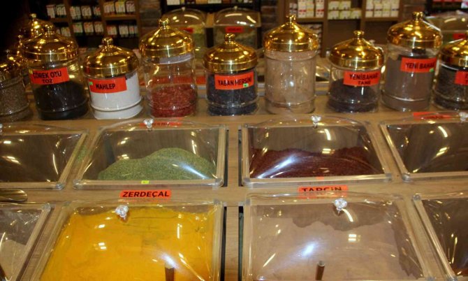 Aktarlarda Sonbahar Hareketliliği