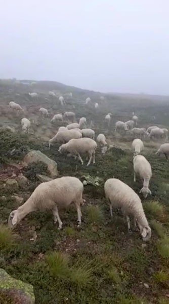 Uludağ’a İlk Kar Düştü