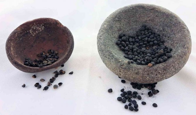 Gre Fılla Kurtarma Kazıları, Göbeklitepe’nin Çağdaşını Açığa Çıkarıyor