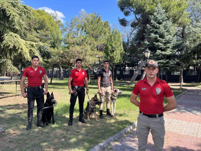 Asayiş Köpeklerinin Rehine Kurtarma Operasyonu Ve Saldırı Eğitimleri Gerçeğini Aratmadı