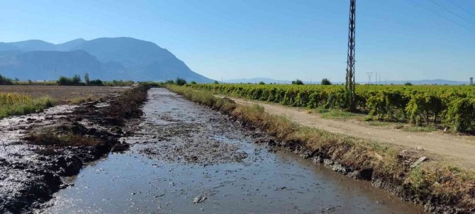 Hamzabeyli’de Üreticileri Rahatlatan Çalışma
