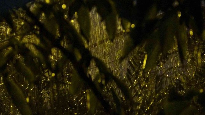 Osmaniye’de Gök Gürültülü Sağanak Yağış Etkili Oluyor