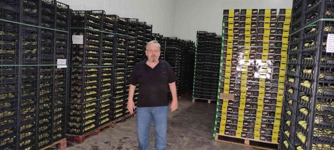 Meyvelerini Bu Şartlarda Saklayıp 2 Kat Daha Fazla Kazanıyorlar