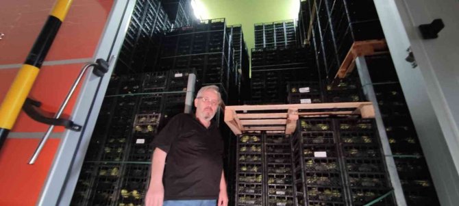 Meyvelerini Bu Şartlarda Saklayıp 2 Kat Daha Fazla Kazanıyorlar