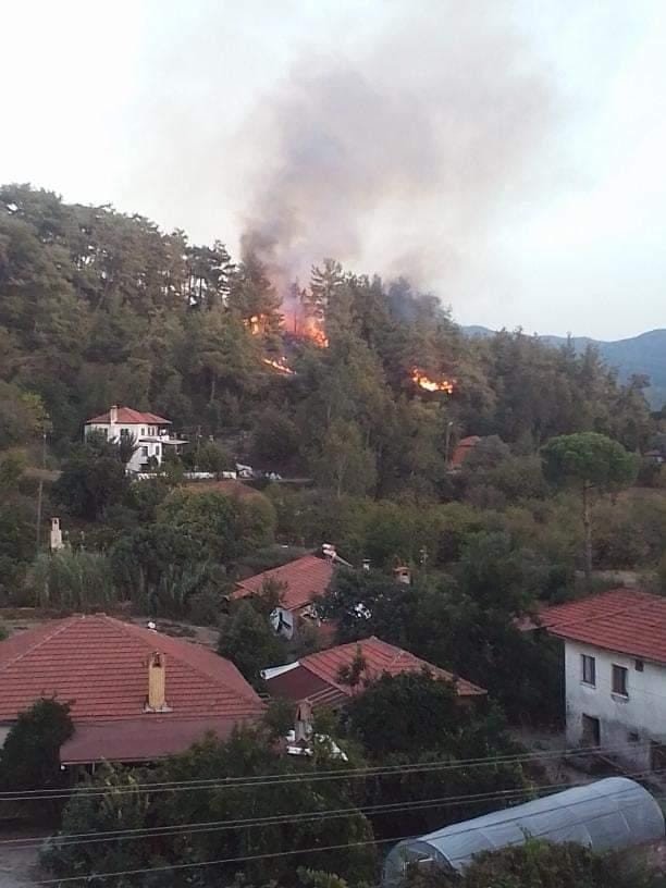 Ula’da Orman Yangını Çıktı