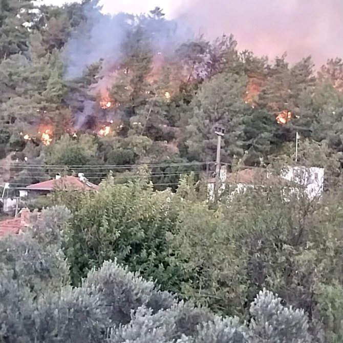 Ula’da Orman Yangını Çıktı
