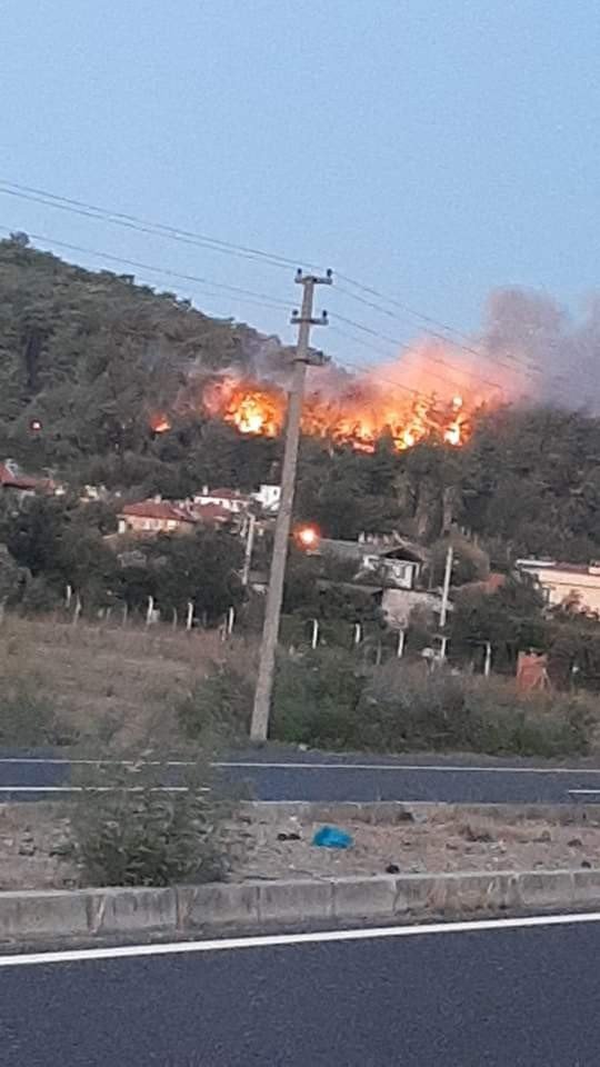 Ula’da Orman Yangını Çıktı