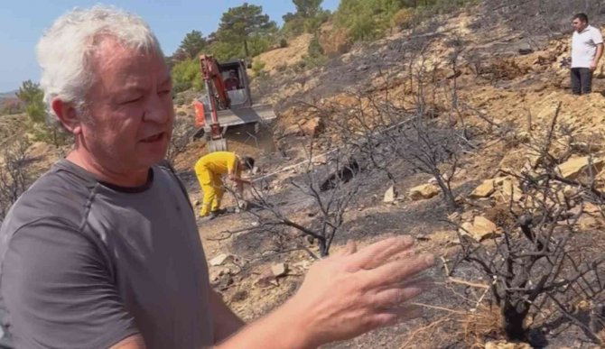 Prof. Dr. Yıldız Dikkat Çekti: “Yanan Ormanlardaki En Büyük Tehlike Besin Kaybı”
