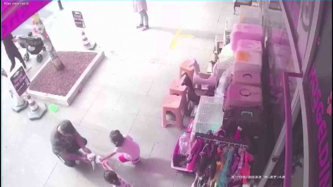 Pendik’te Pes Dedirten Hırsızlık: Yavru Köpeği Önce Sevdiler Sonra Çaldılar