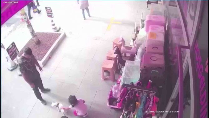 Pendik’te Pes Dedirten Hırsızlık: Yavru Köpeği Önce Sevdiler Sonra Çaldılar