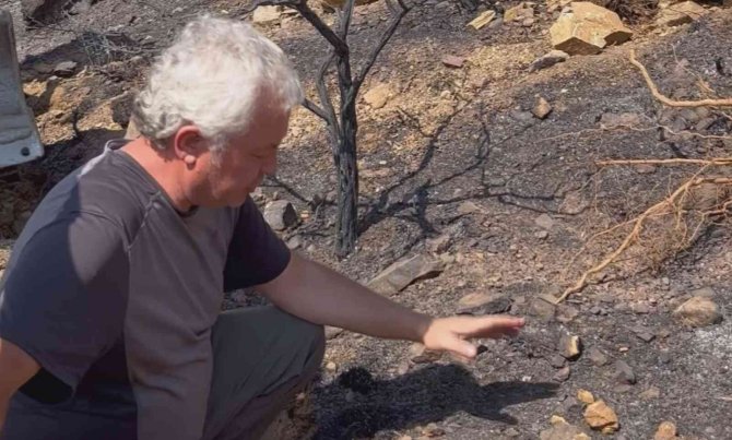 Prof. Dr. Yıldız Dikkat Çekti: “Yanan Ormanlardaki En Büyük Tehlike Besin Kaybı”