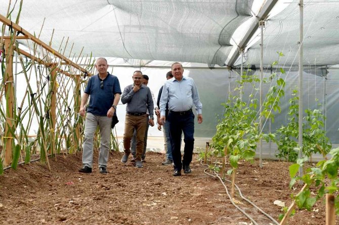 Tıbbi Aromatik Bitki Üretim Tesisi Açıldı