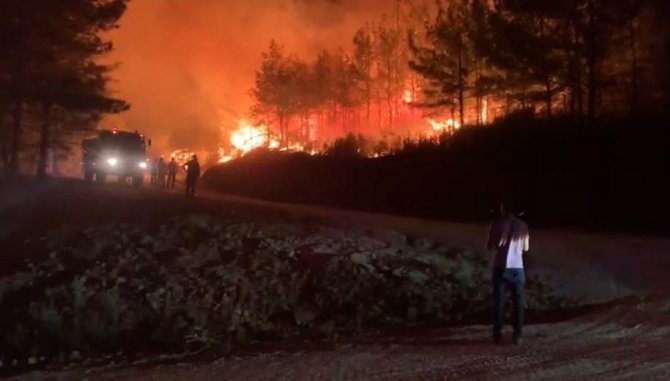 Bakan Kirişci; “Marmaris’teki Yangında 500 Hektar Alan Zarar Gördü”