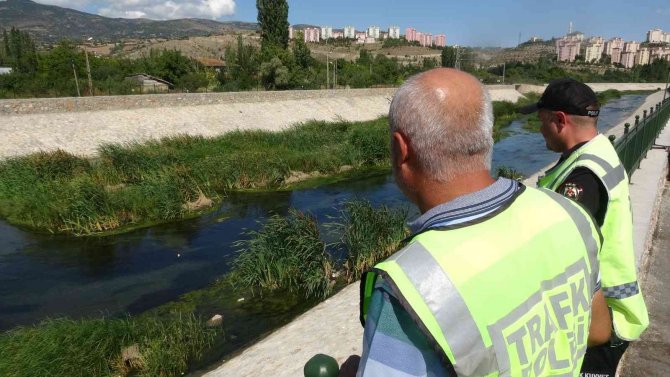 En Emniyetli Yuva