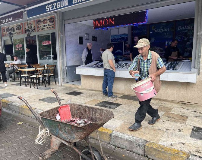 Hayatını Aç Hayvanları Doyurmaya Adadı