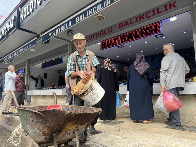 Hayatını Aç Hayvanları Doyurmaya Adadı