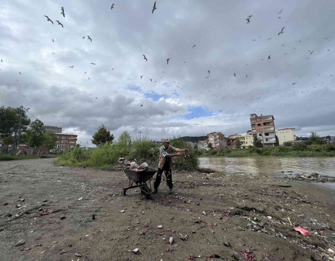 Hayatını Aç Hayvanları Doyurmaya Adadı