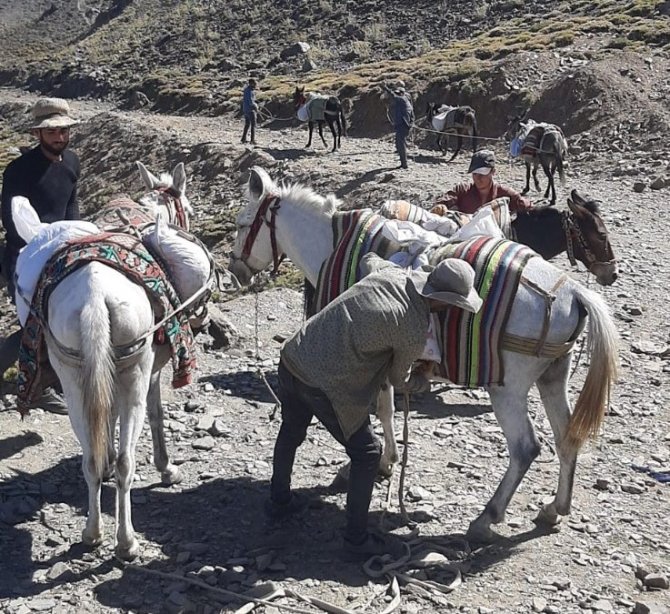 Vaski̇ Ekipleri Katırlarla Çıktığı 3 Bin 500 Metrede Çalışma Yaptı