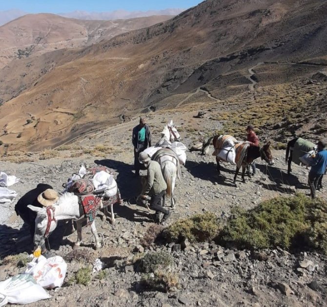 Vaski̇ Ekipleri Katırlarla Çıktığı 3 Bin 500 Metrede Çalışma Yaptı