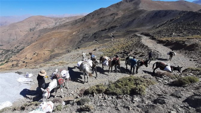 Vaski̇ Ekipleri Katırlarla Çıktığı 3 Bin 500 Metrede Çalışma Yaptı