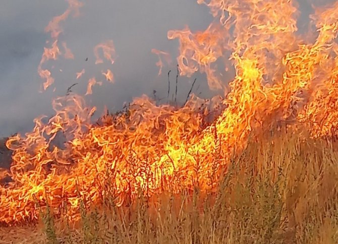 Adır Adası’ndaki Yangın Bugün Tekrar Başladı