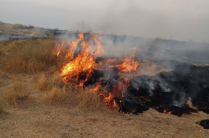 Adır Adası’ndaki Yangın Bugün Tekrar Başladı