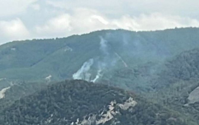 Amanos Dağları’na Düşen Yıldırım Orman Yangınına Neden Oldu