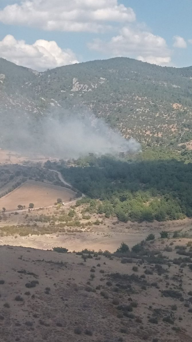 Bergama’da Orman Yangını